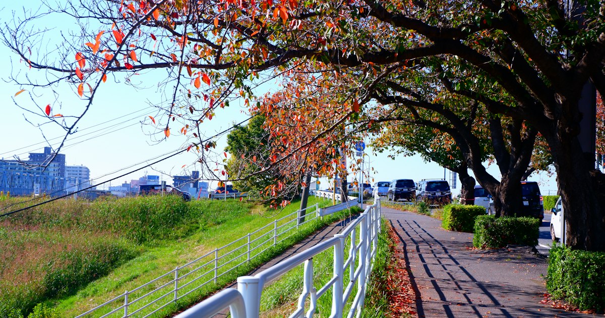 Nagareyama, Japan