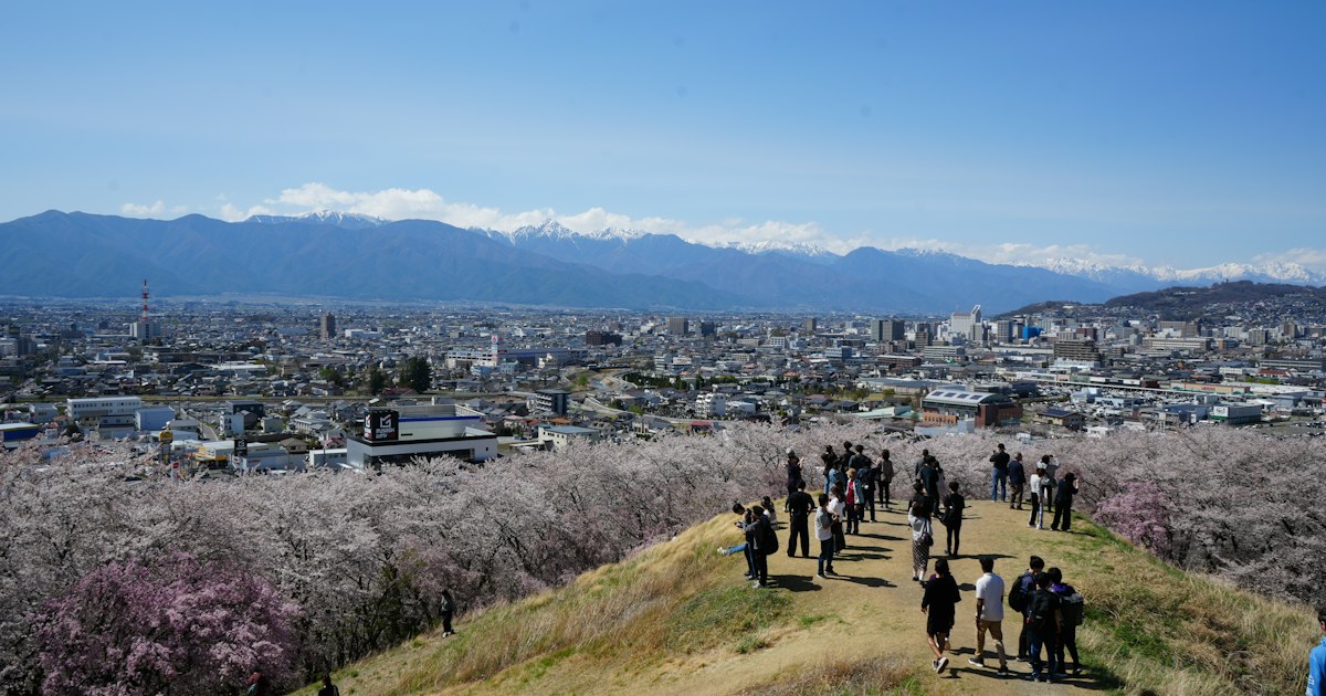 Sakura, Japan