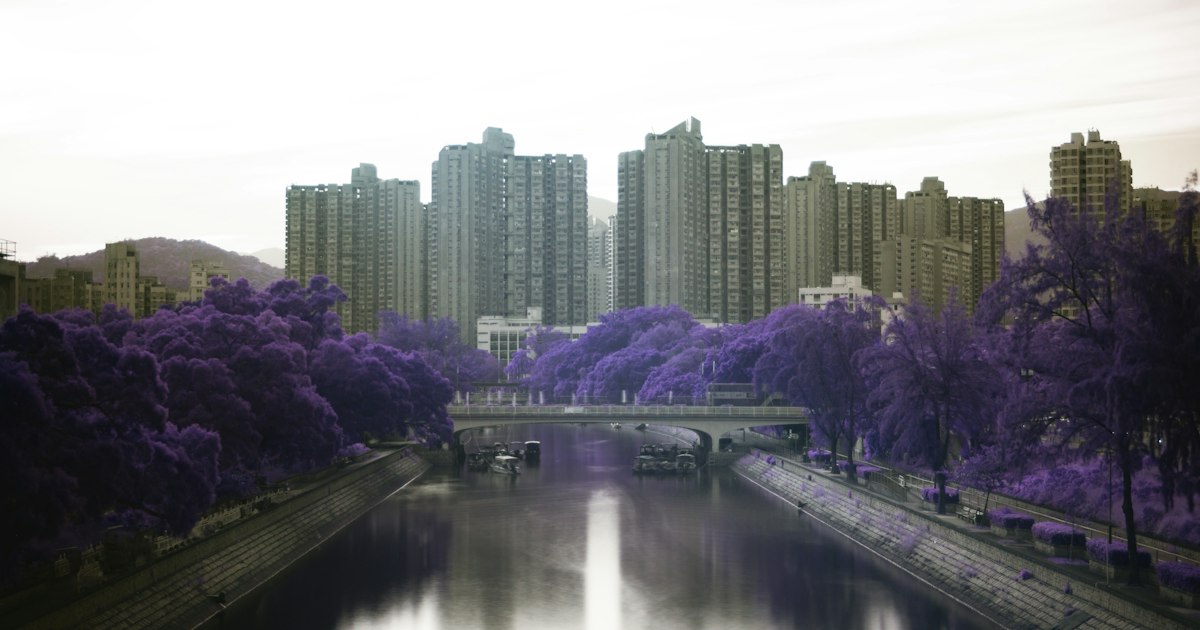 Tai Po, Hong Kong