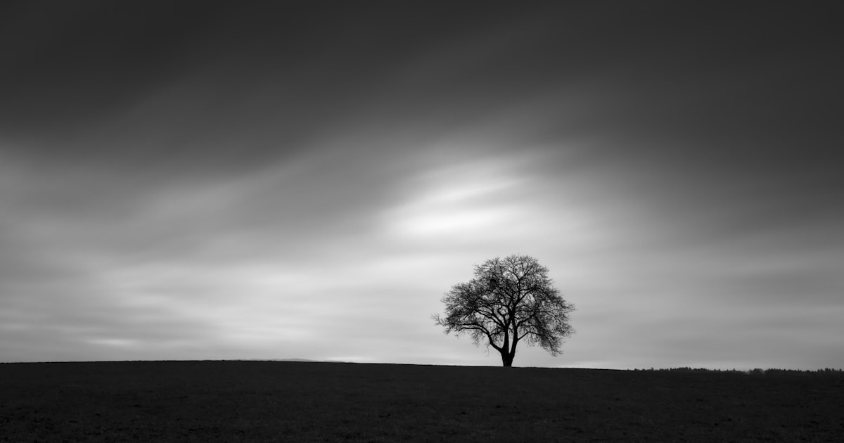 Zürich (Kreis 11), Switzerland