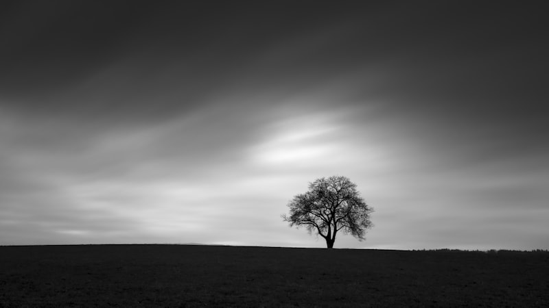 Zürich (Kreis 11), Switzerland